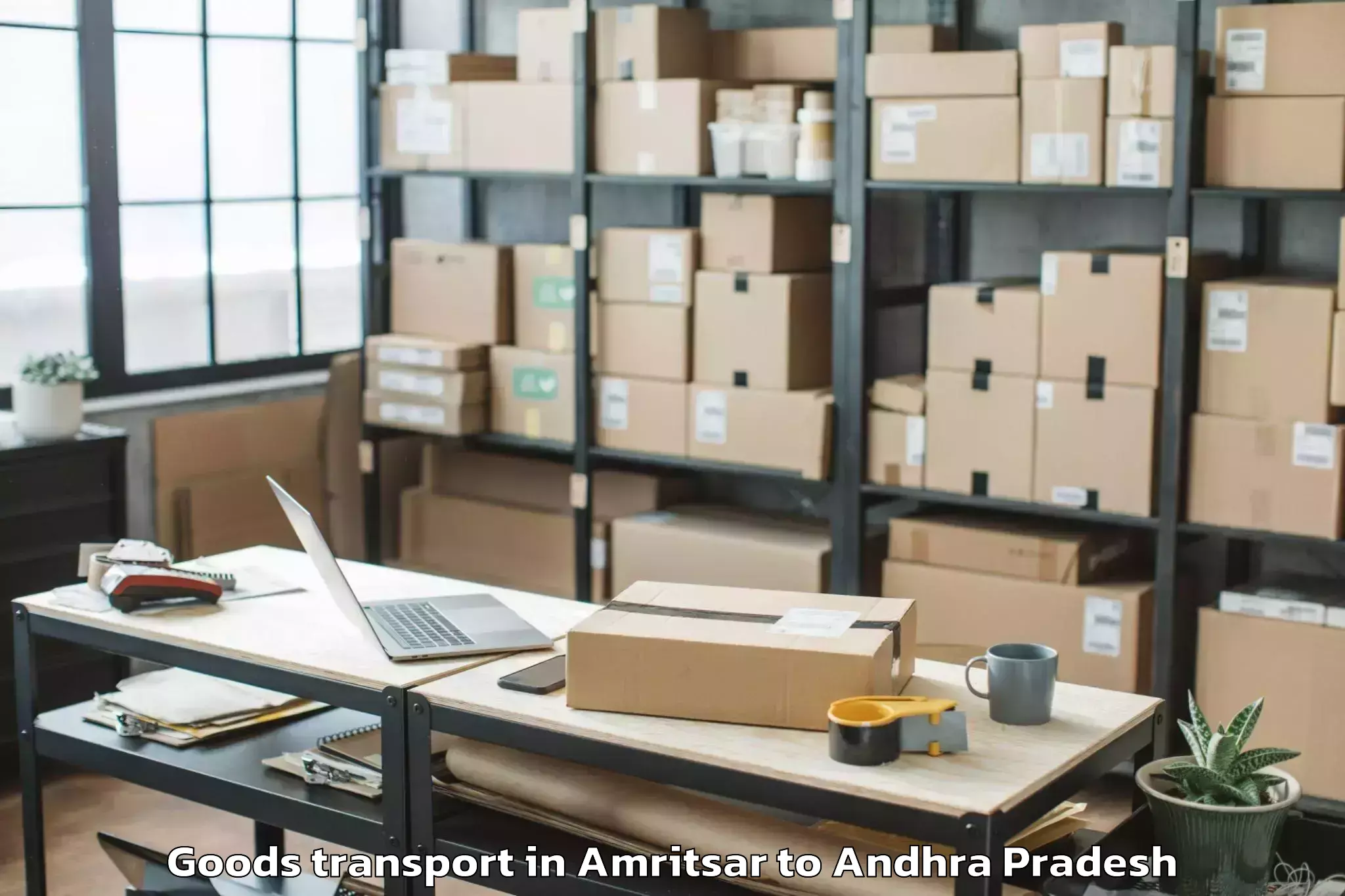 Professional Amritsar to Bhimadole Goods Transport